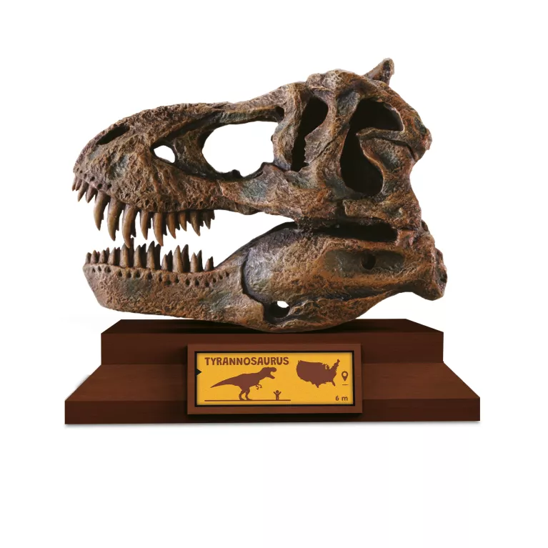 Lovci lebek - Tyrannosaurus