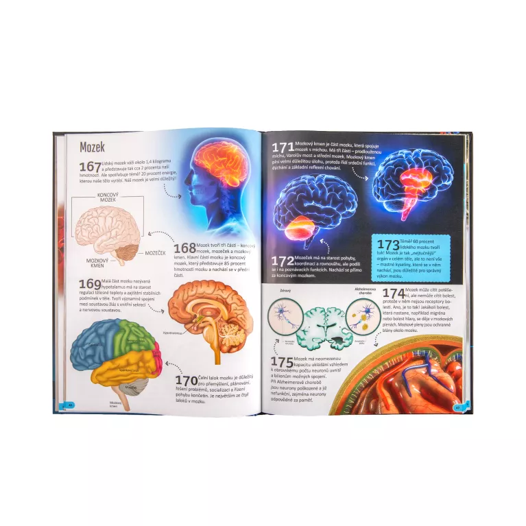 500 fantastických faktů - Člověk