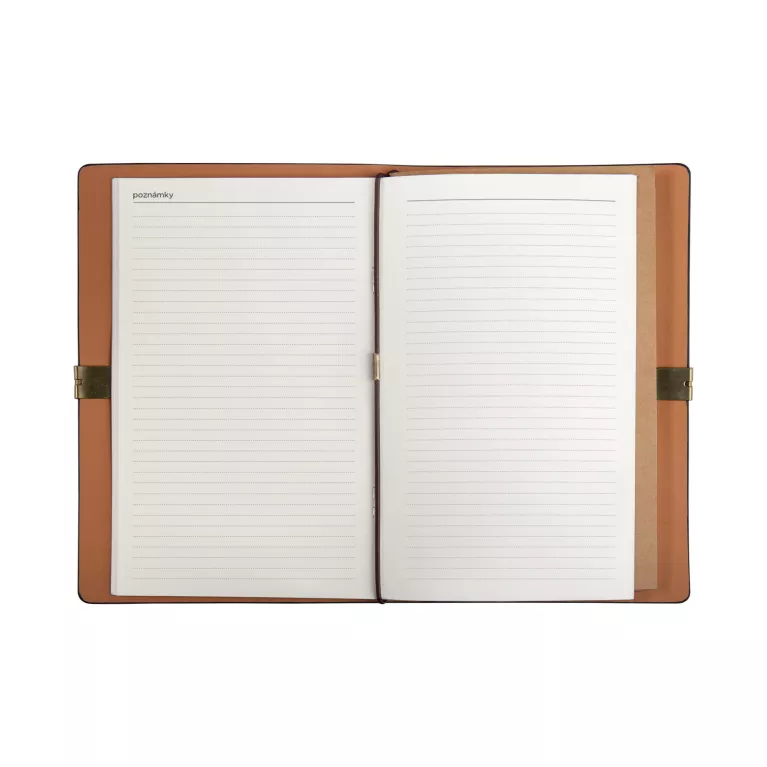 Luxusní diář - Pampelišky