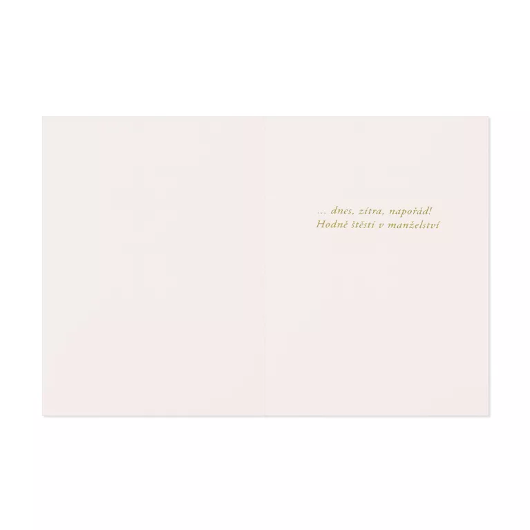 Luxusní přání - Labutě