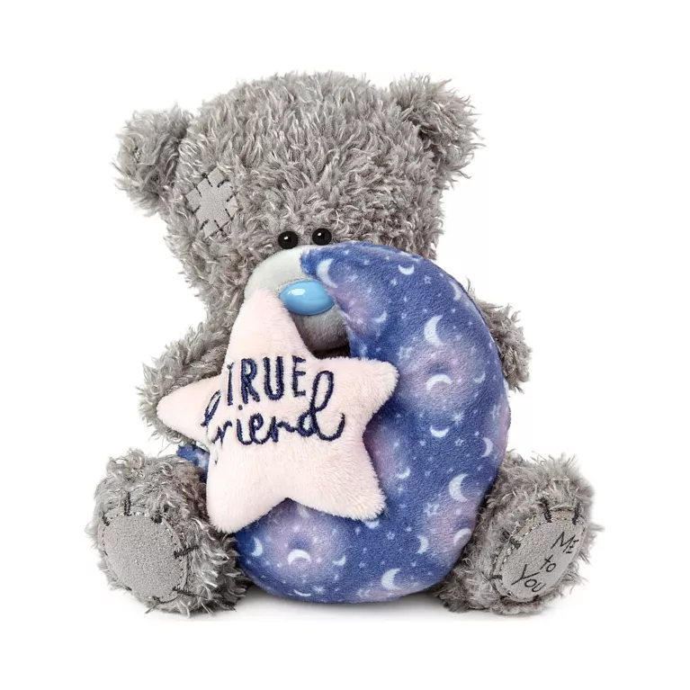 Medvídek Me to You - True Friend