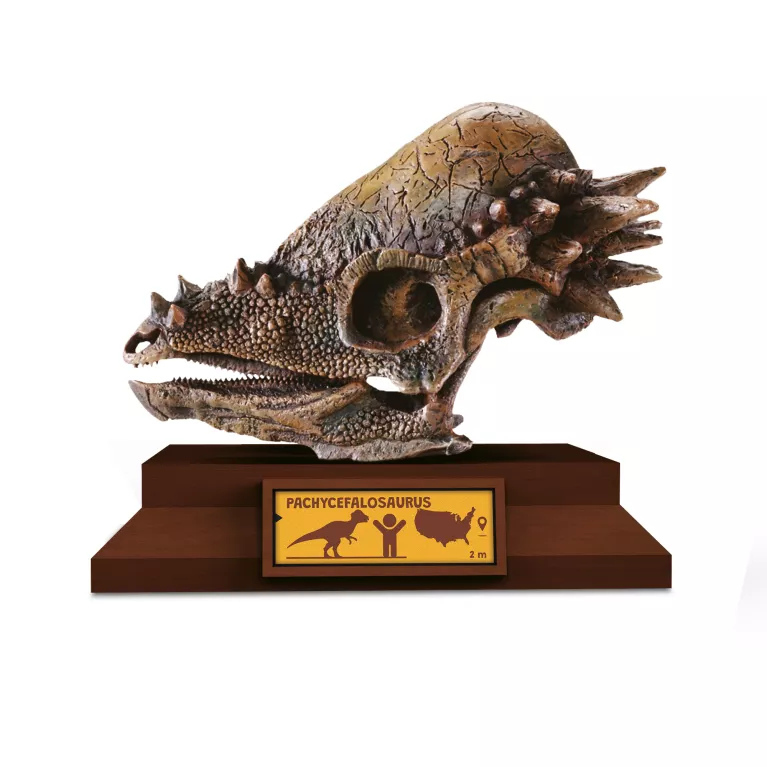 Lovci lebek - Pachycephalosaurus