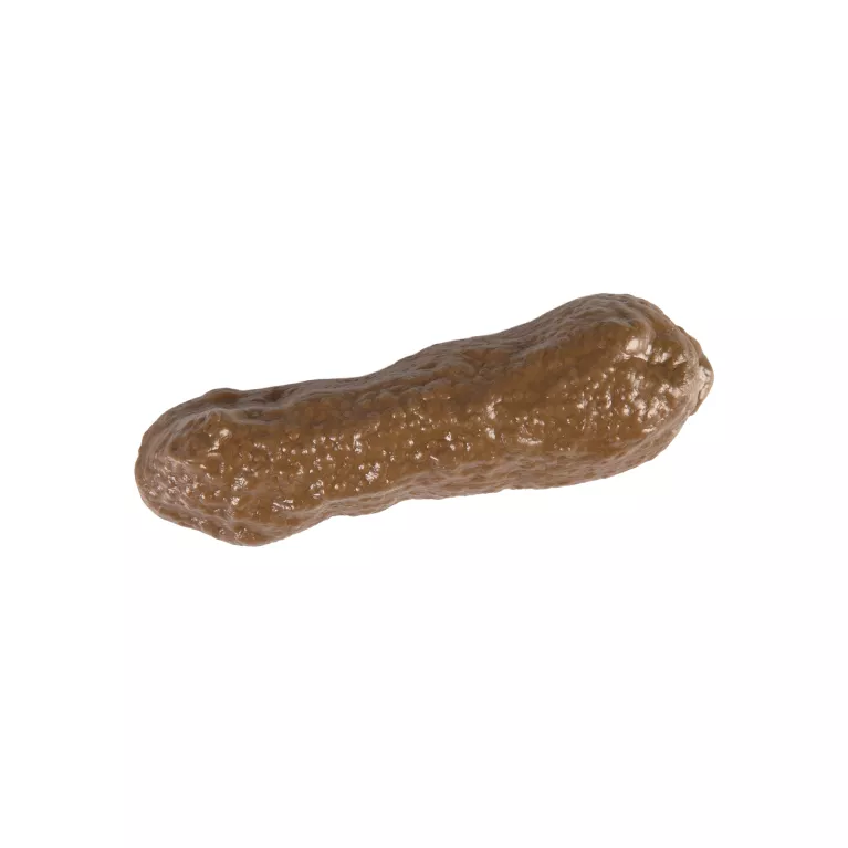 Falešné psí hovínko dlouhé