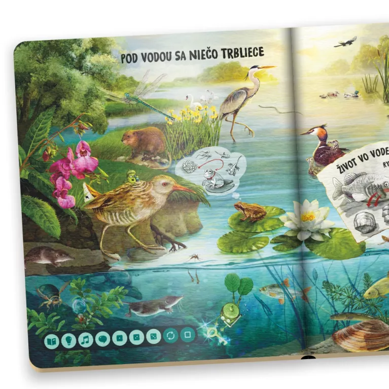 Kniha Hravá prírodoveda SK