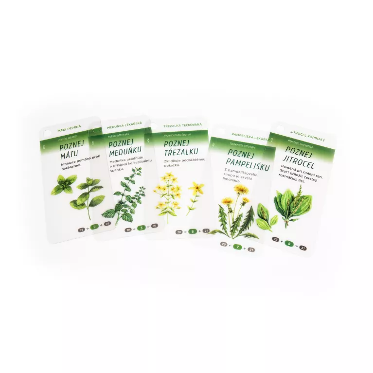 Krabička pravého dobrodruha - Na chatu