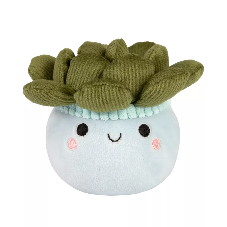 Malá plyšová květina - Sukulent