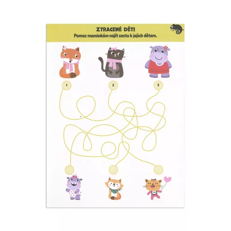 Kvído - Aktivity se zvířátky - Chameleon s kamarády