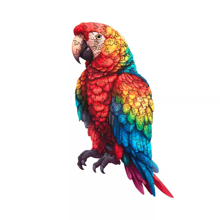 Dětské dřevěné puzzle - Papoušek