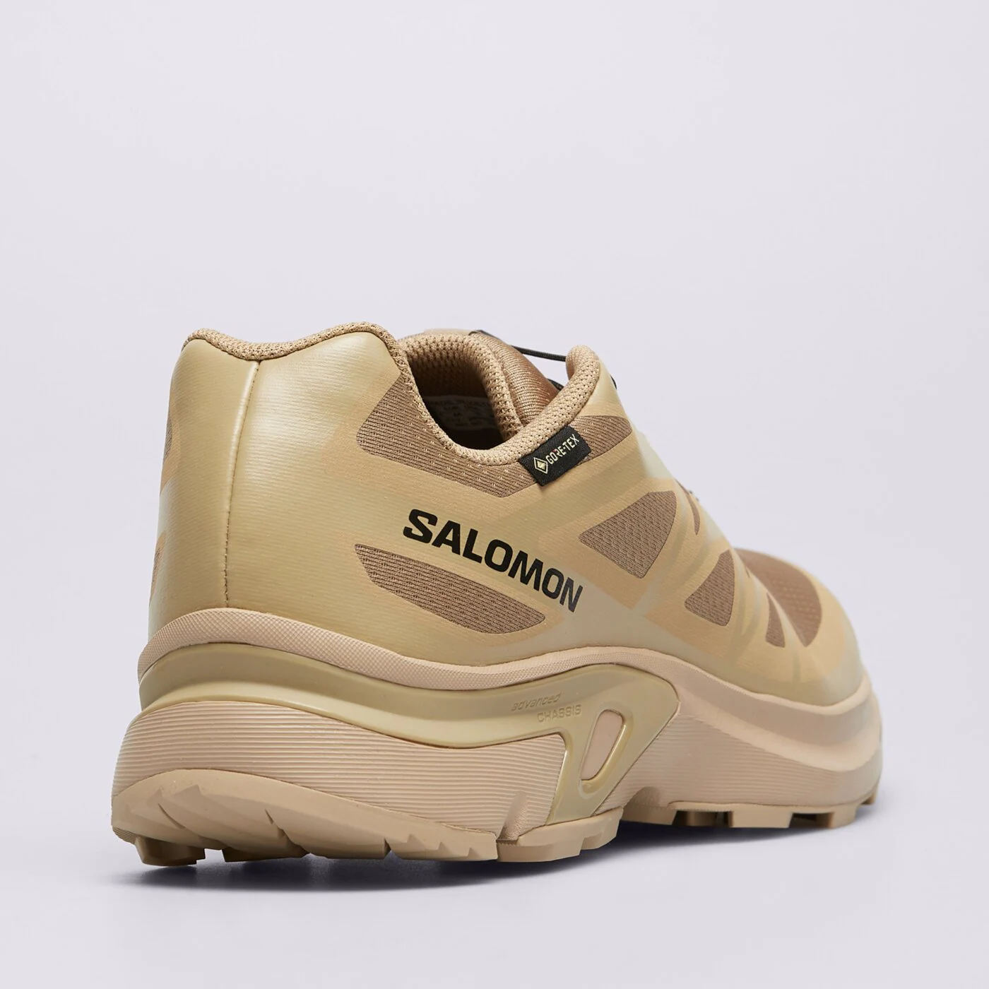 SALOMON XT-EVR GTX