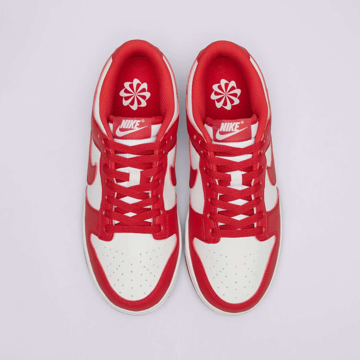 NIKE W NIKE DUNK LOW NEXT NATURE