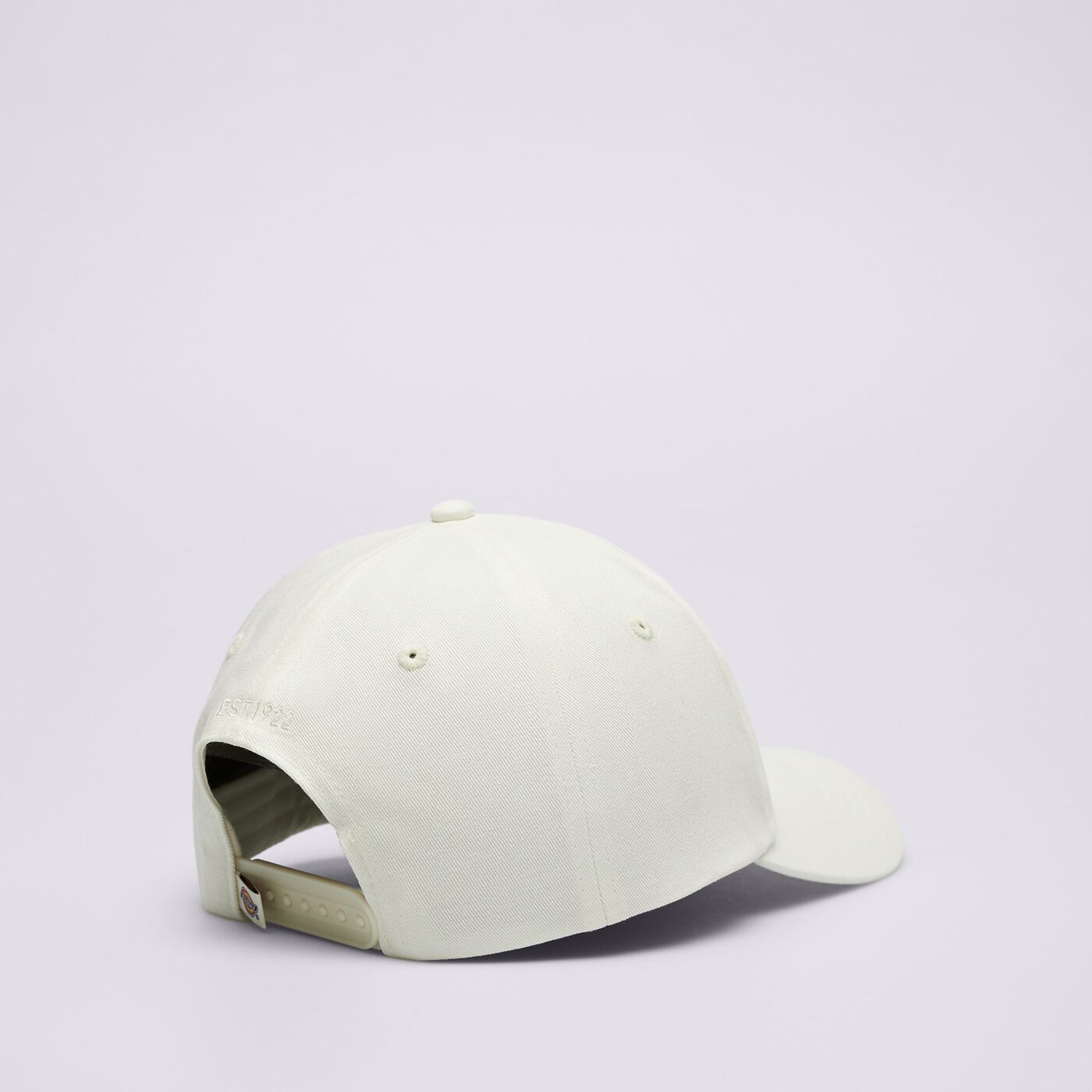 DICKIES SAPKA HARDWICK