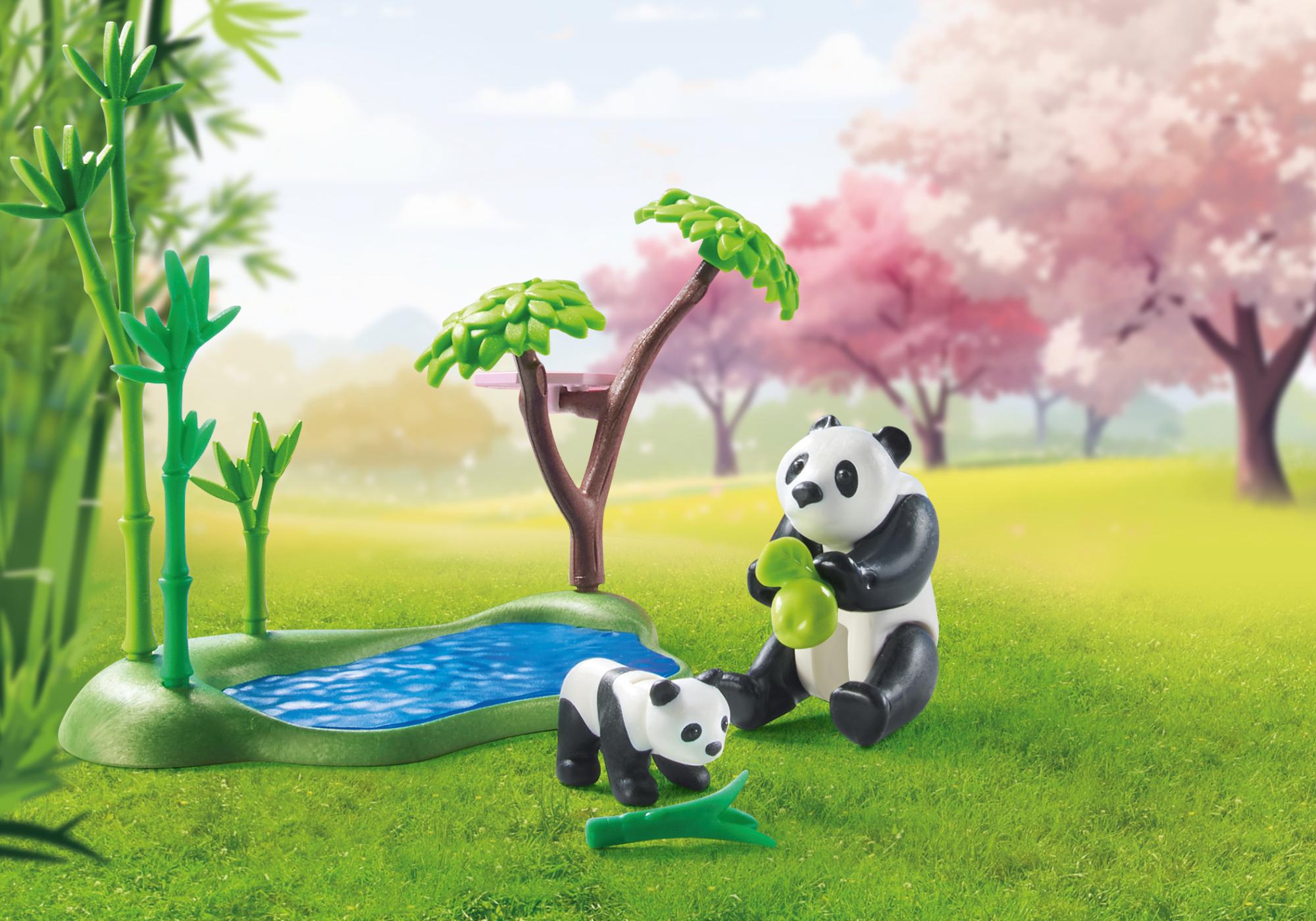 Asiatischer Garten mit Pandafütterung