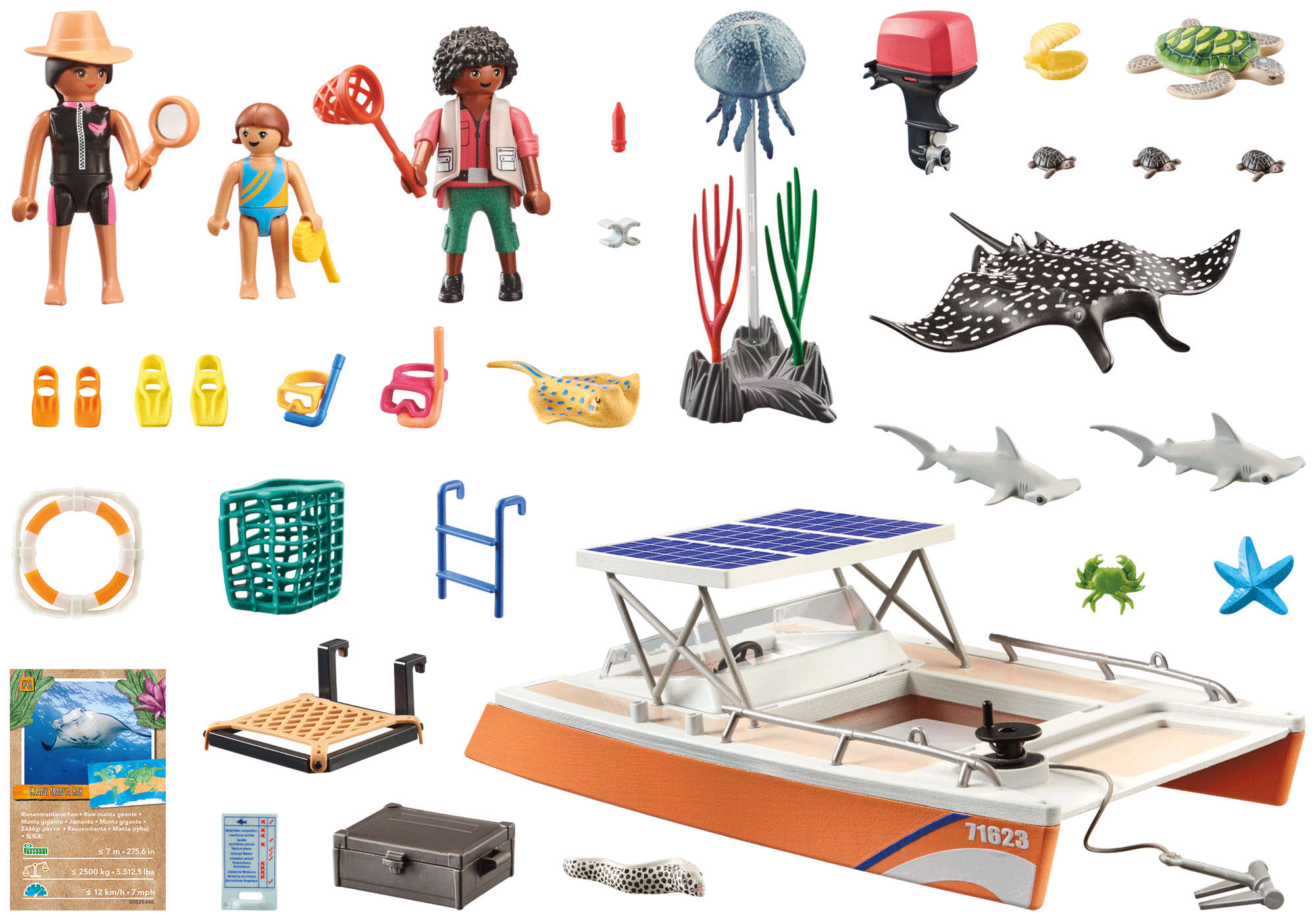 Korallenriff Plattform