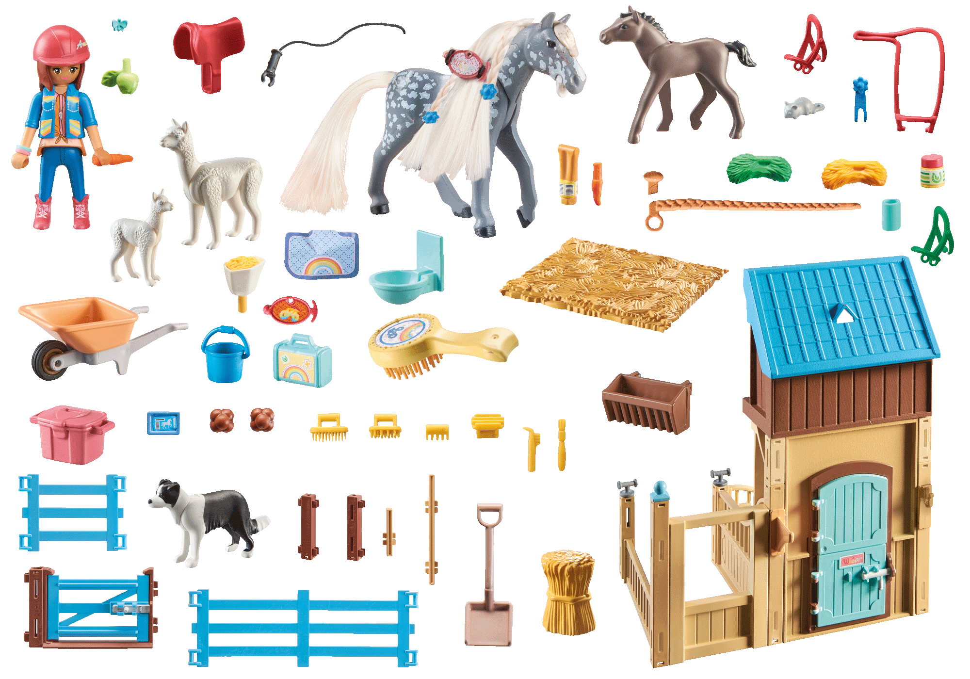 Amelia & Whisper mit Pferdebox