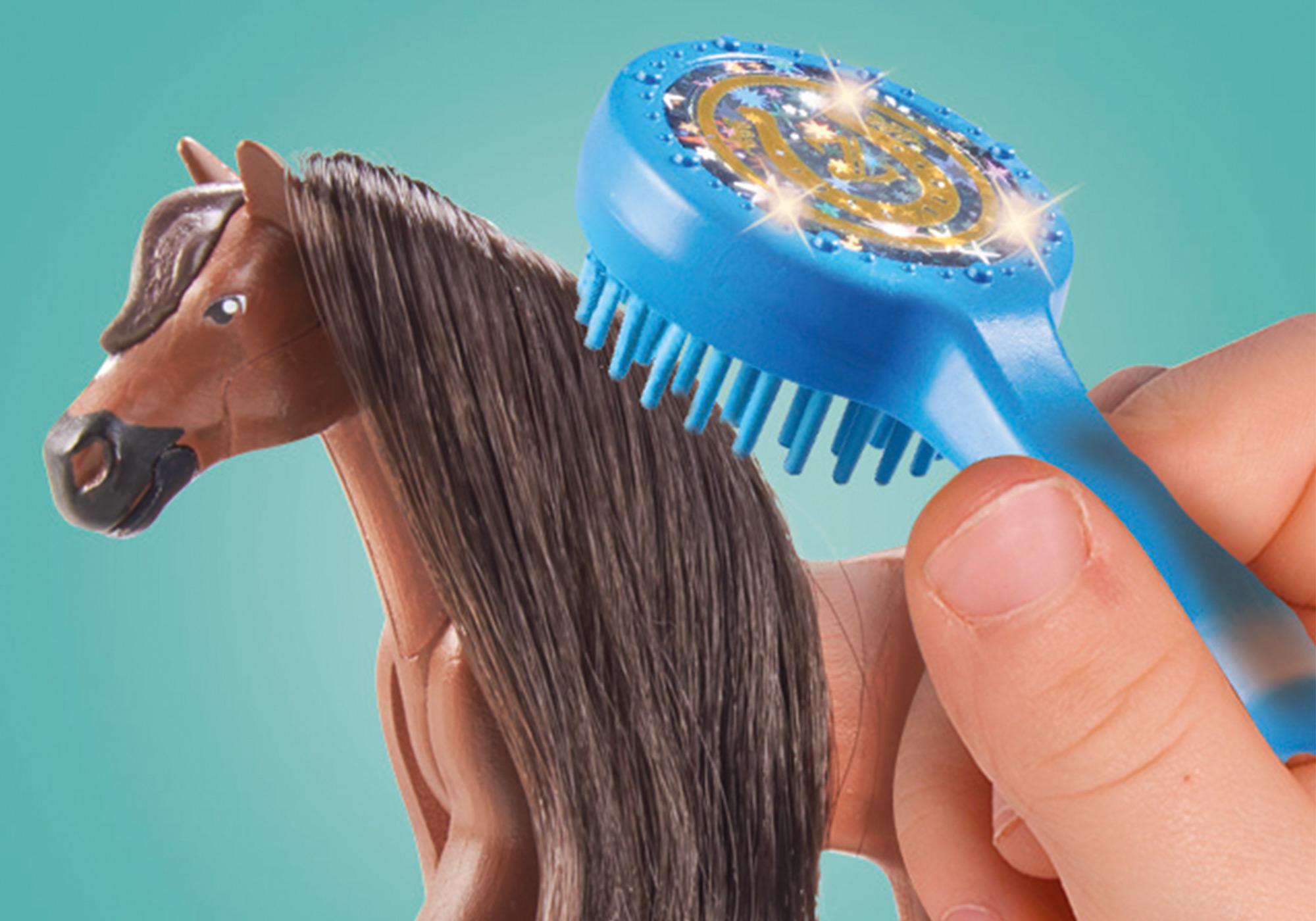 Zoe & Blaze mit Turnierparcours