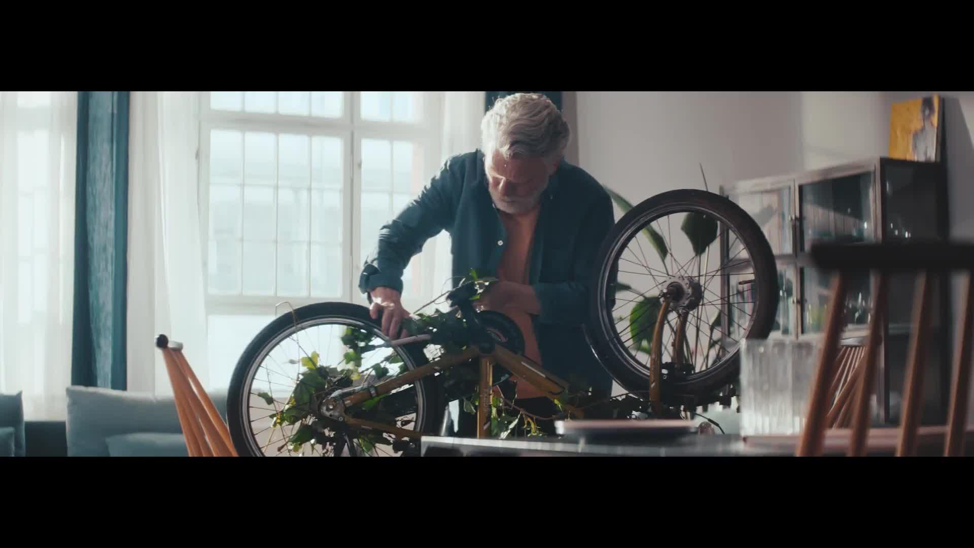 Wiltopia - Bootsausflug zu den Seekühen