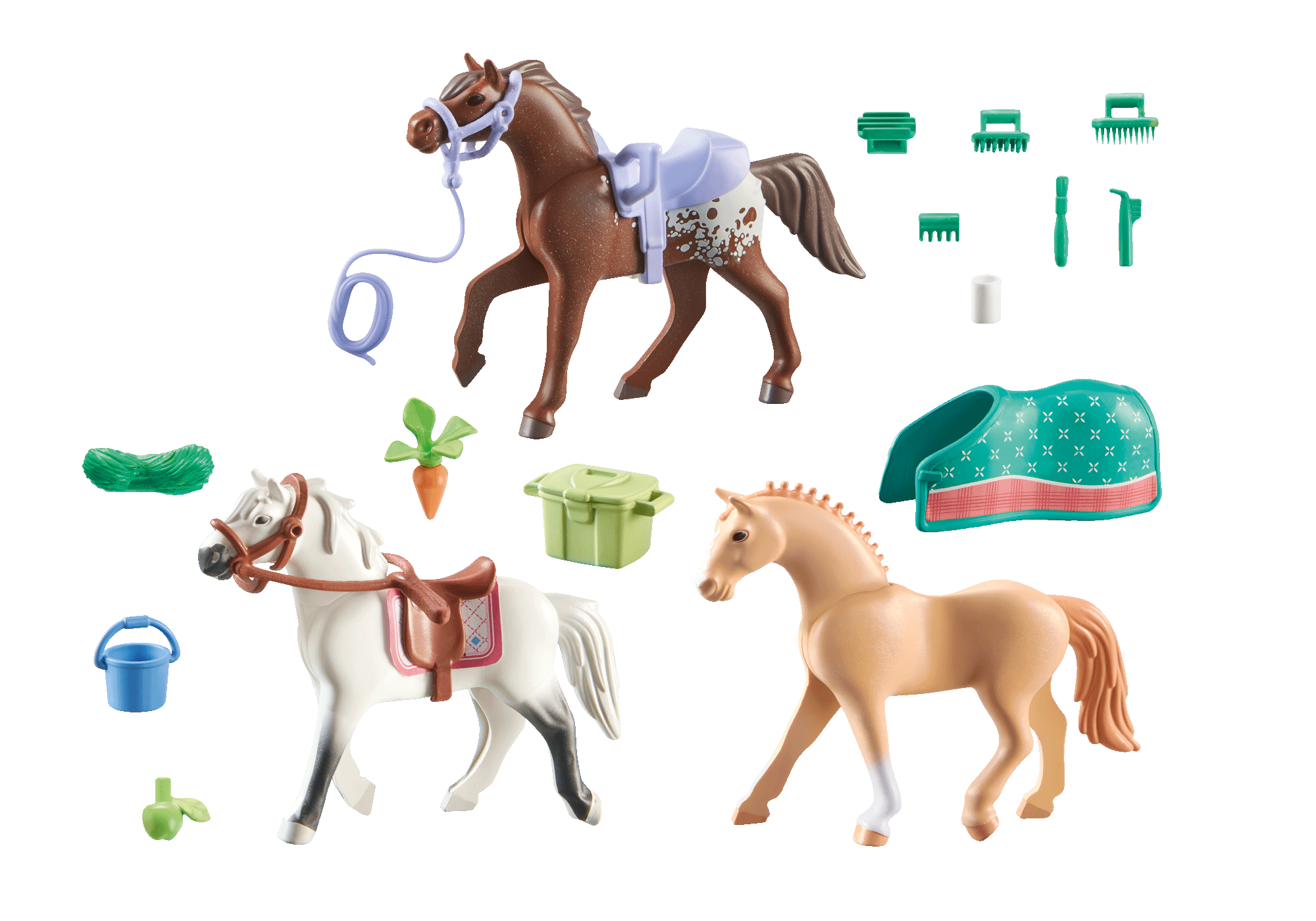 3 Pferde: Morgan. Quarter Horse & Shagya Araber