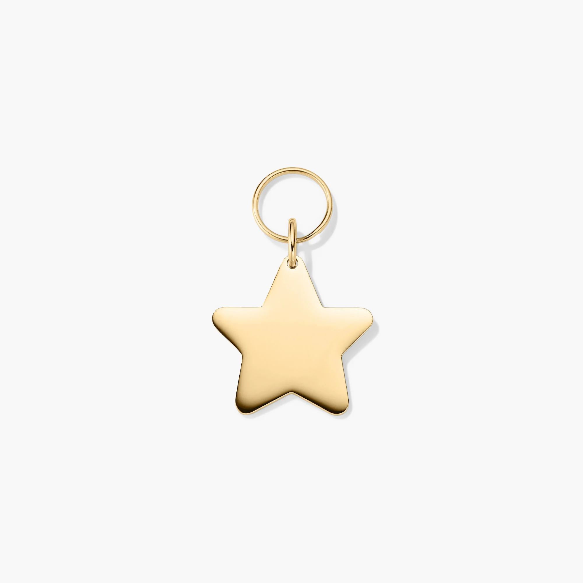 Star Pet Tag