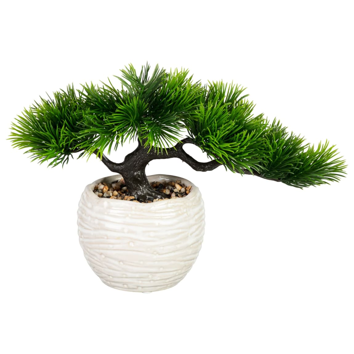 Warm Earth Small Bonsai in Ribbed Pot