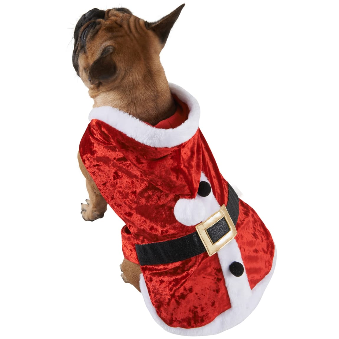 Large Christmas Dog Outfit - Santa