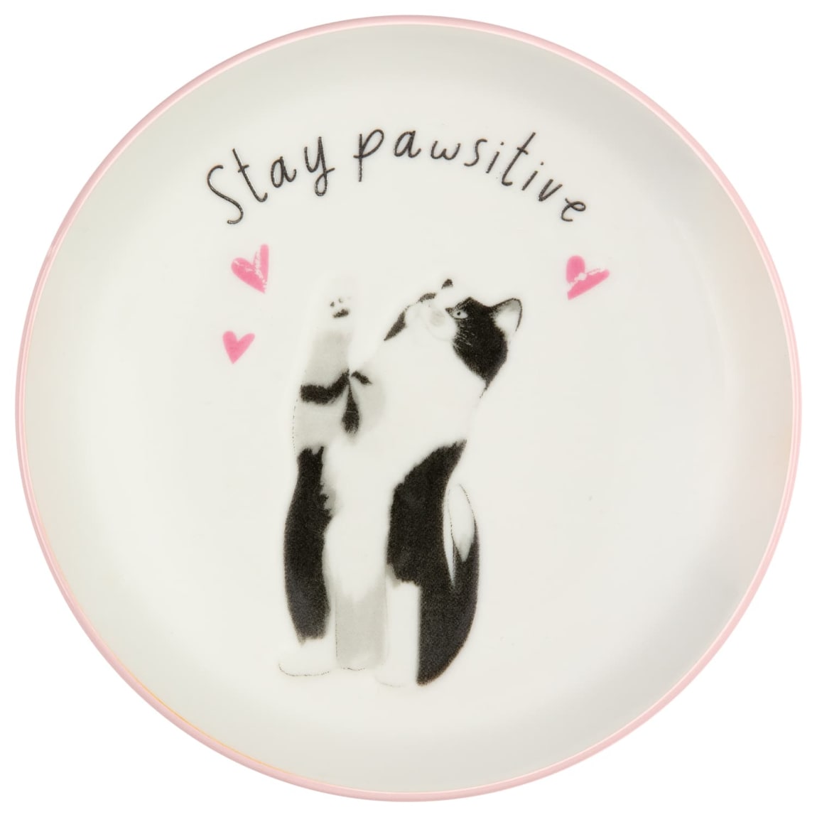 A Tale of Tails Cat Trinket Dish - Stay Pawsitive