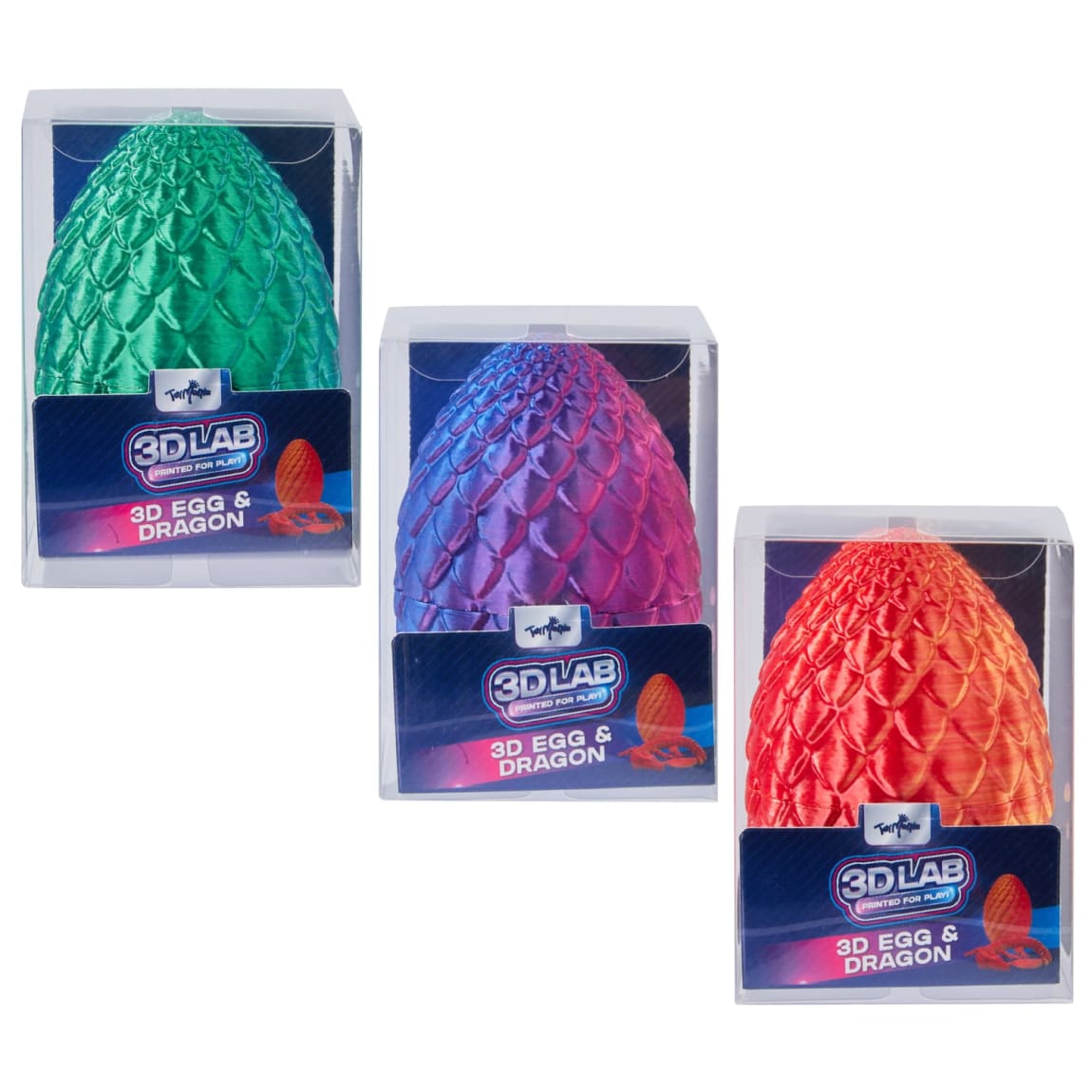 3D Dragon Egg & Dragon - Assorted