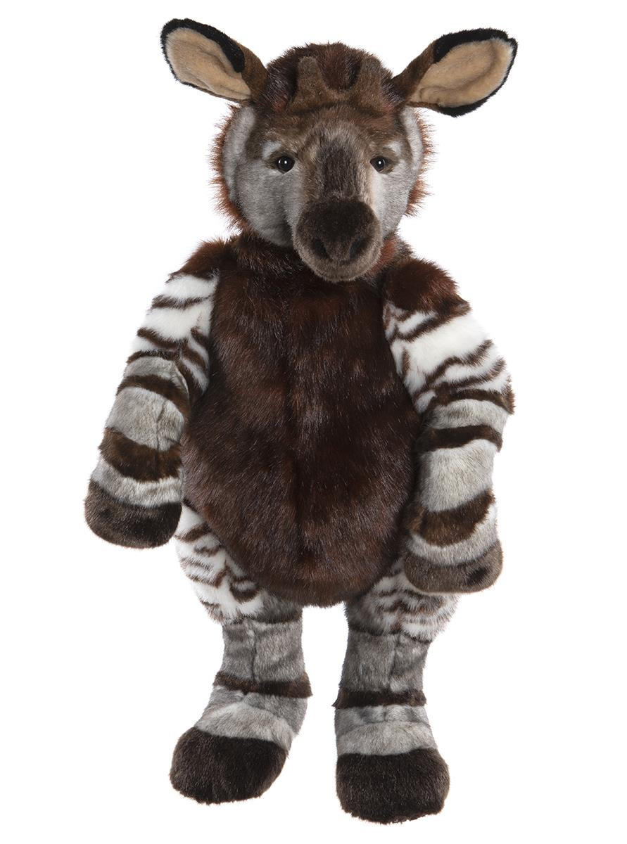 Animals-Tropical & Rainforest Animals