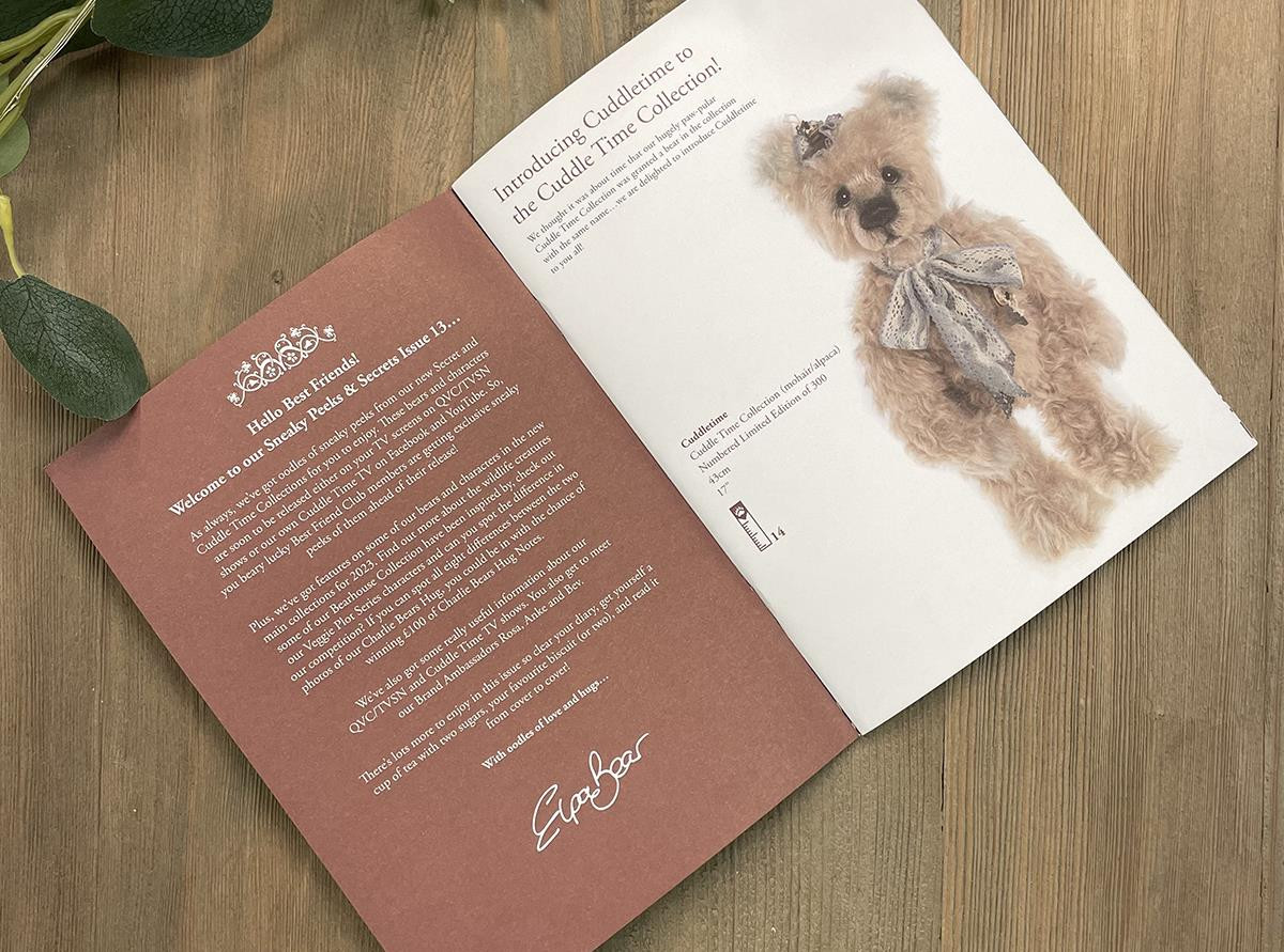 Sneaky Peeks Issue 13