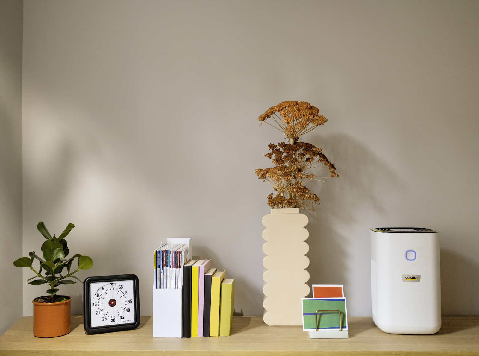 Air purifier           AF 20