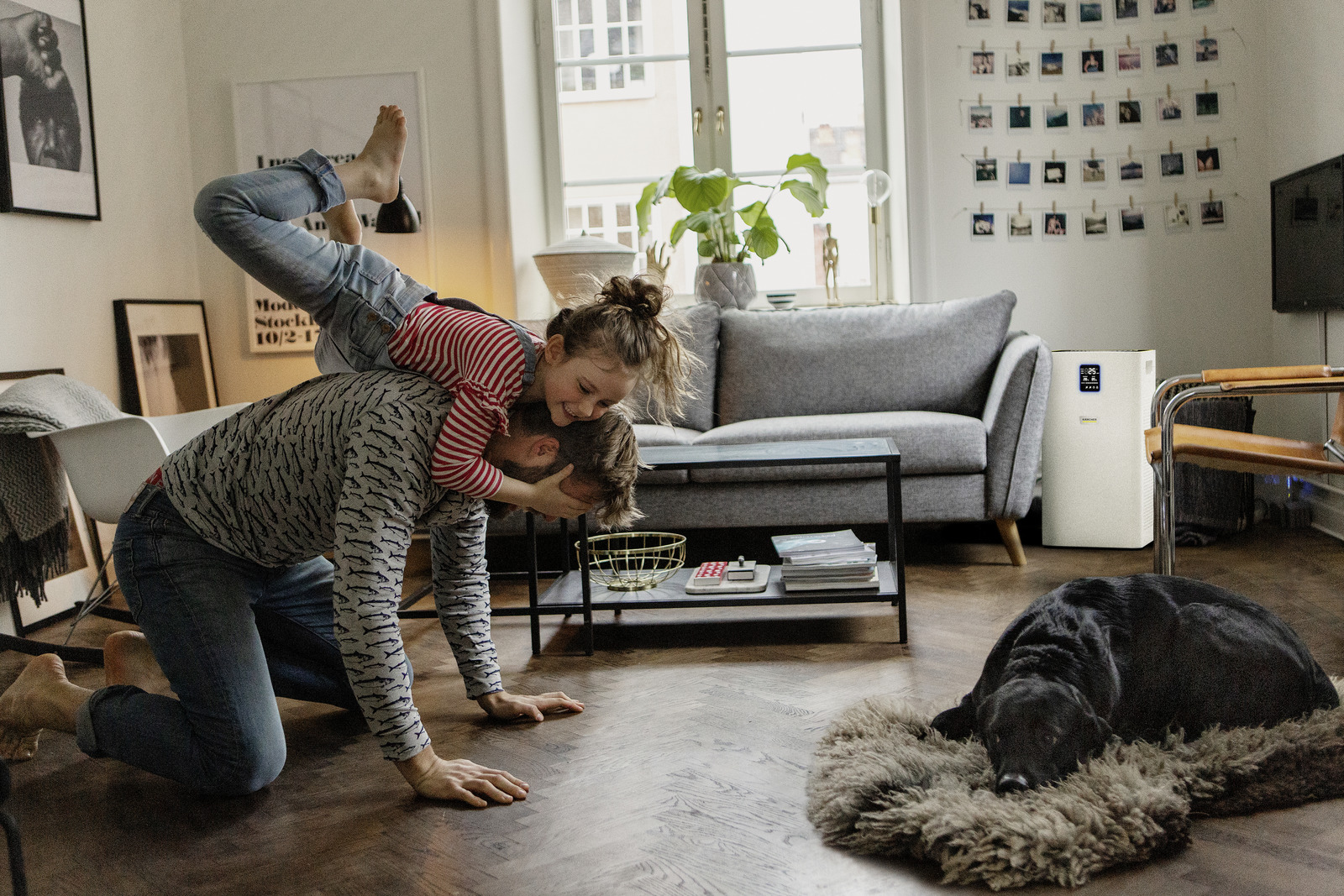 Air purifier           AF 50