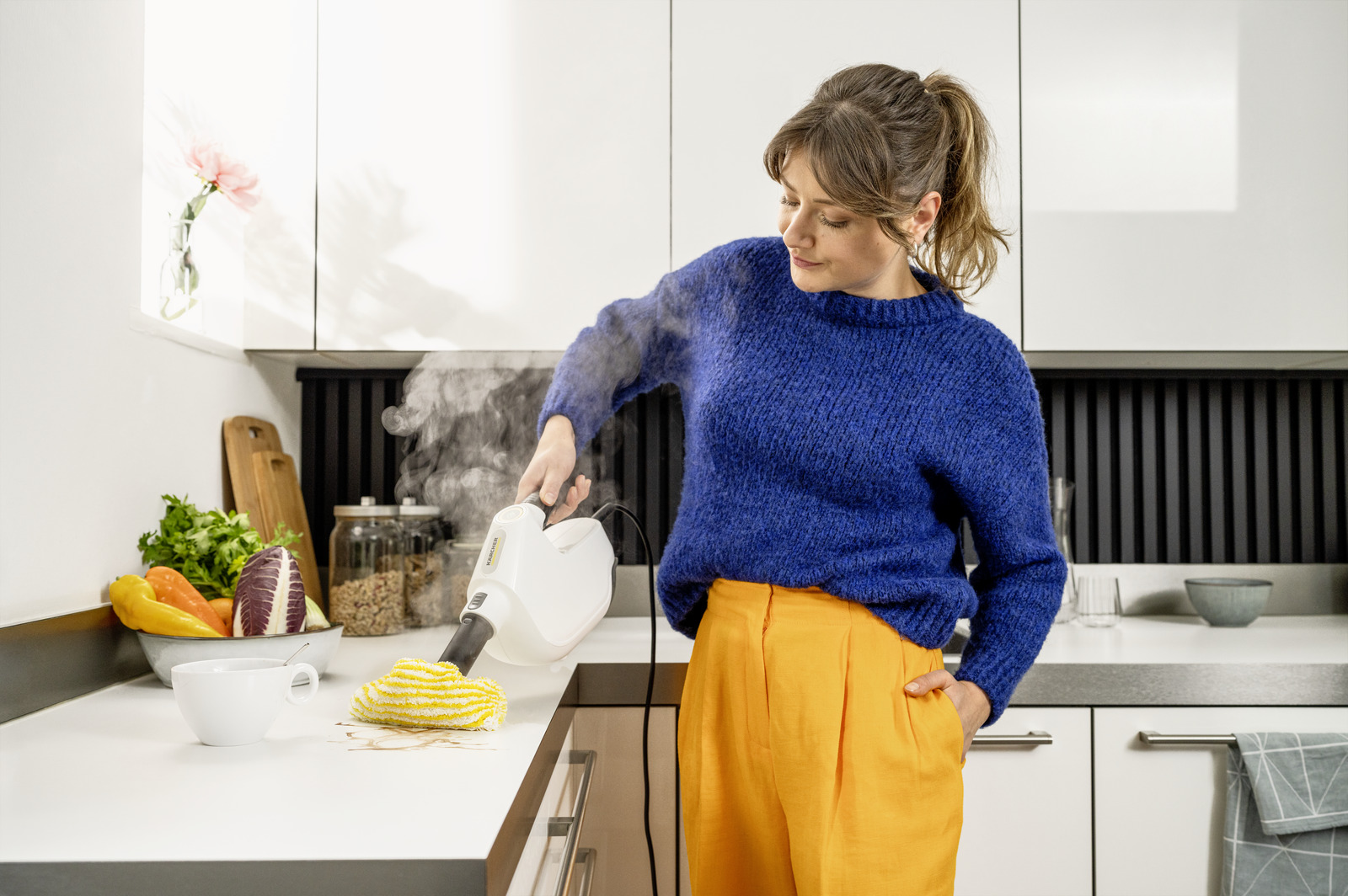 Steam cleaner           SC 1 Multi & Up Extra