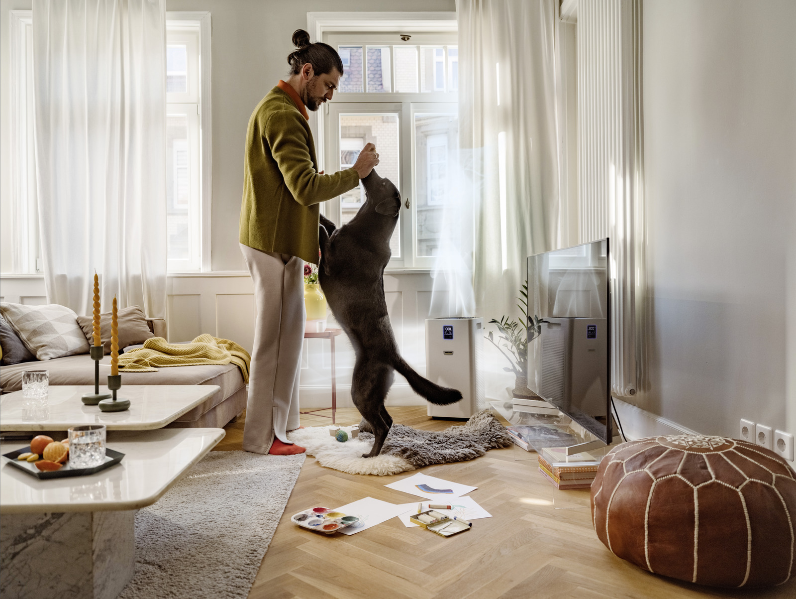 Air purifier           AF 50