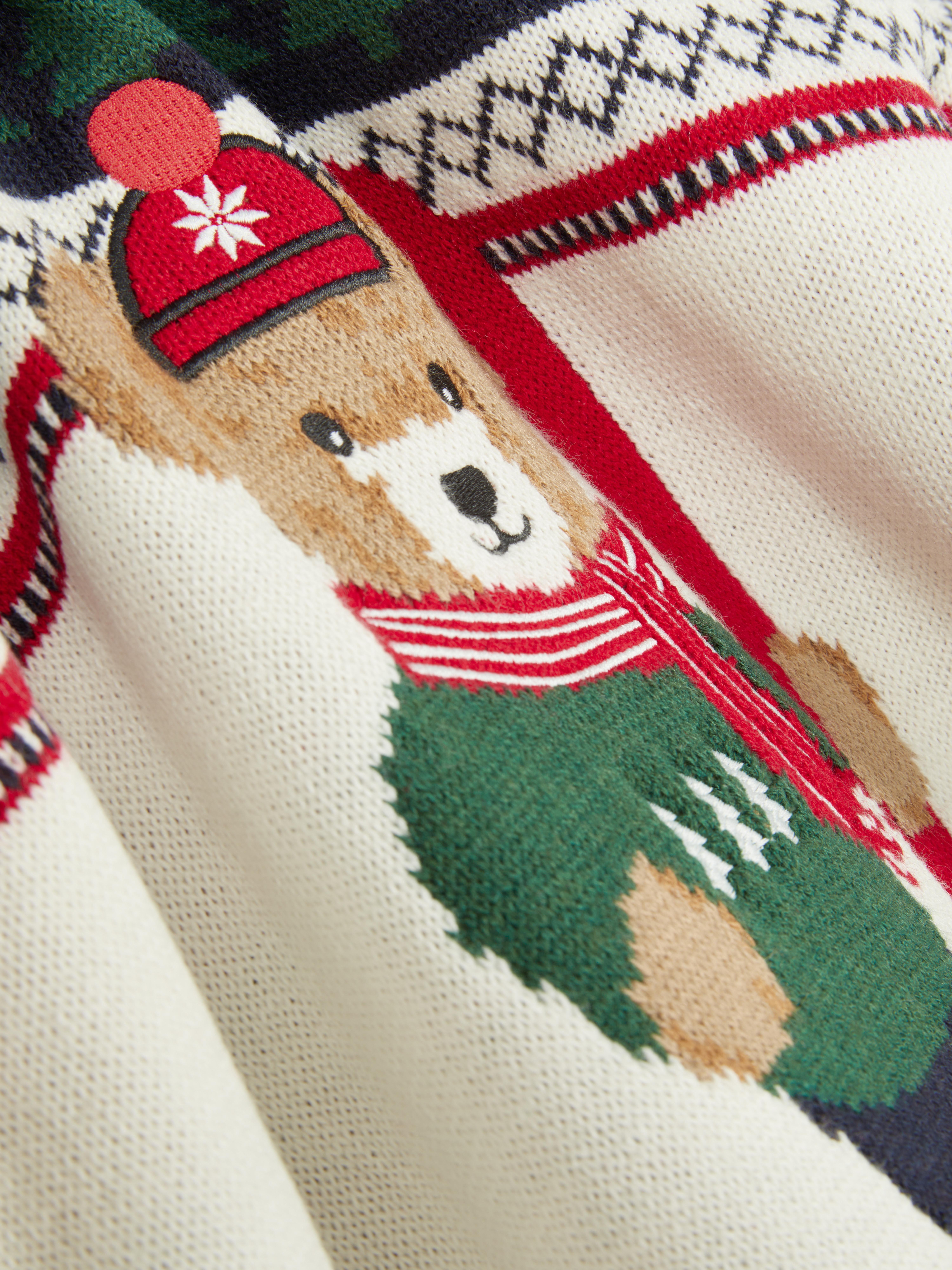 Men's Bear Fair Family Twinning Sweater