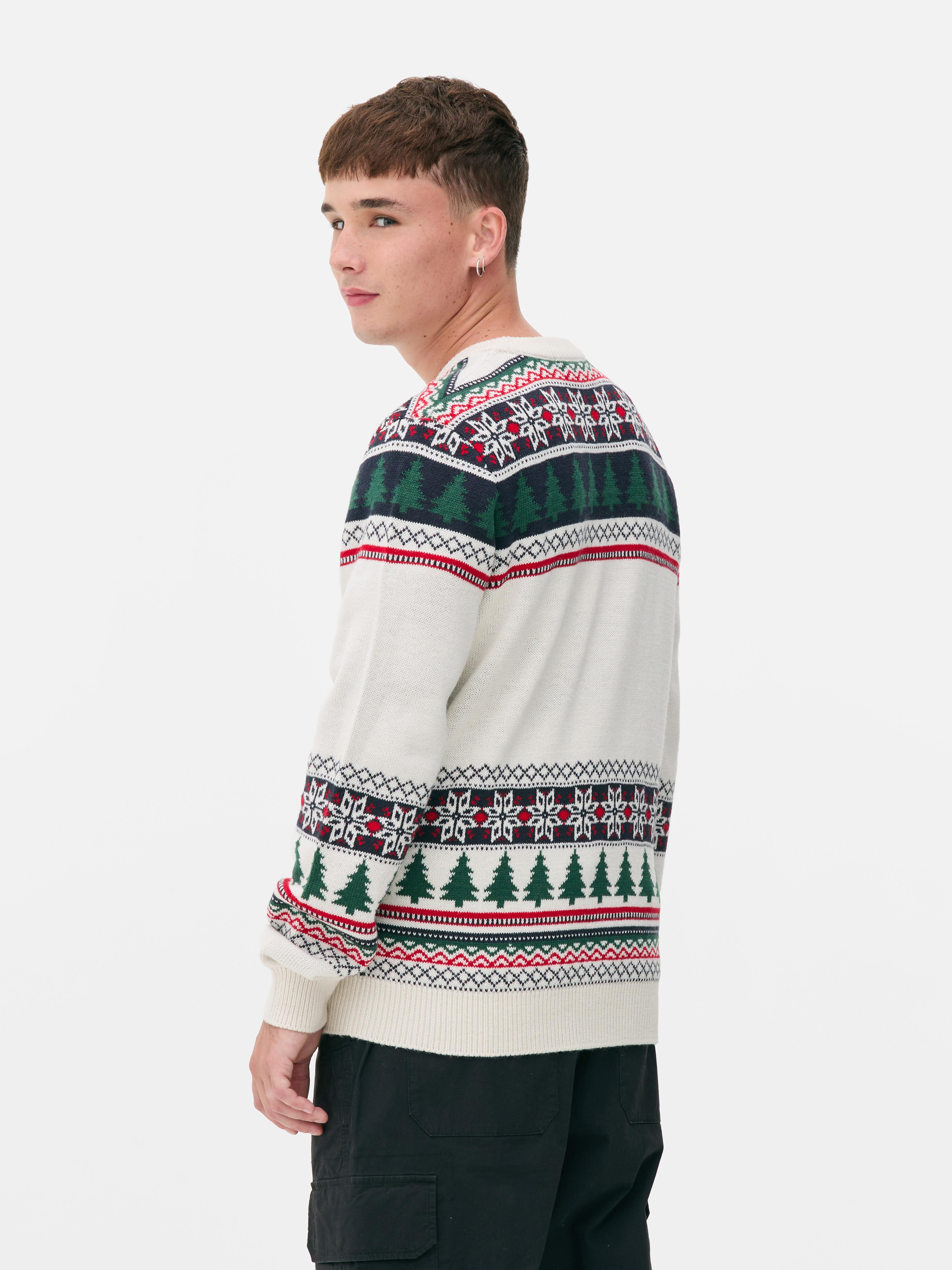 Men's Bear Fair Family Twinning Sweater