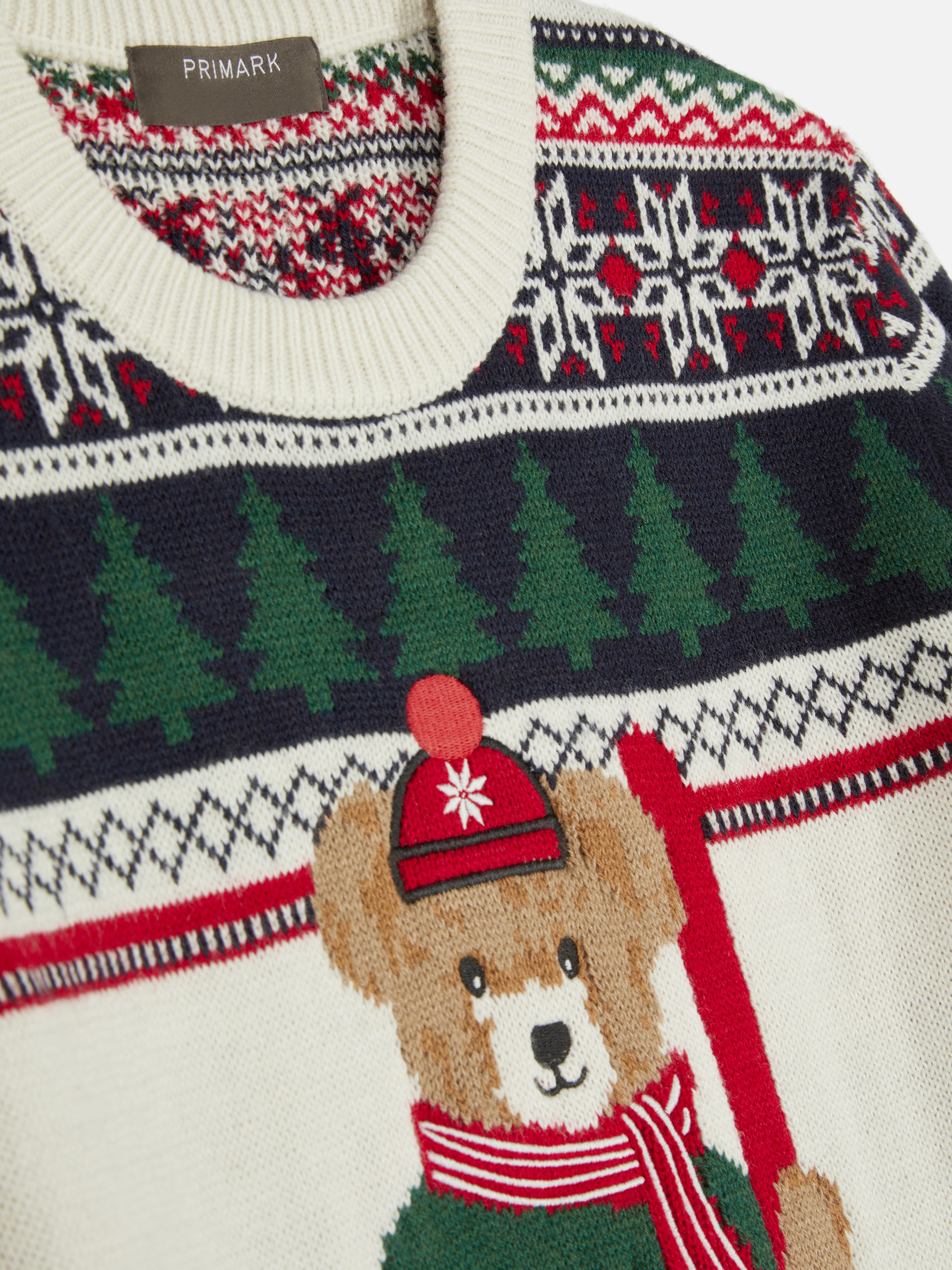 Men's Bear Fair Family Twinning Sweater