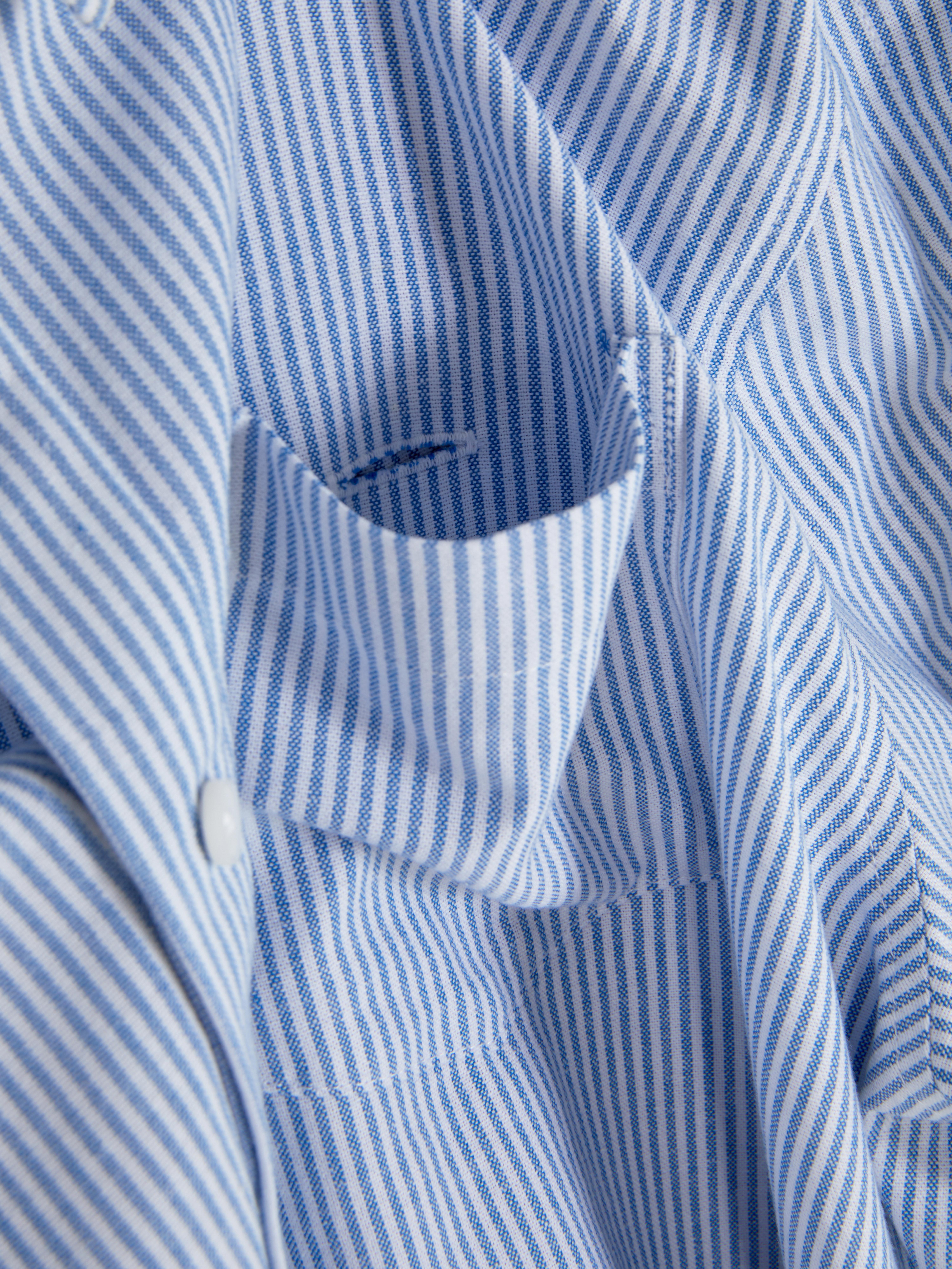 Adaptive Striped Oxford Shirt