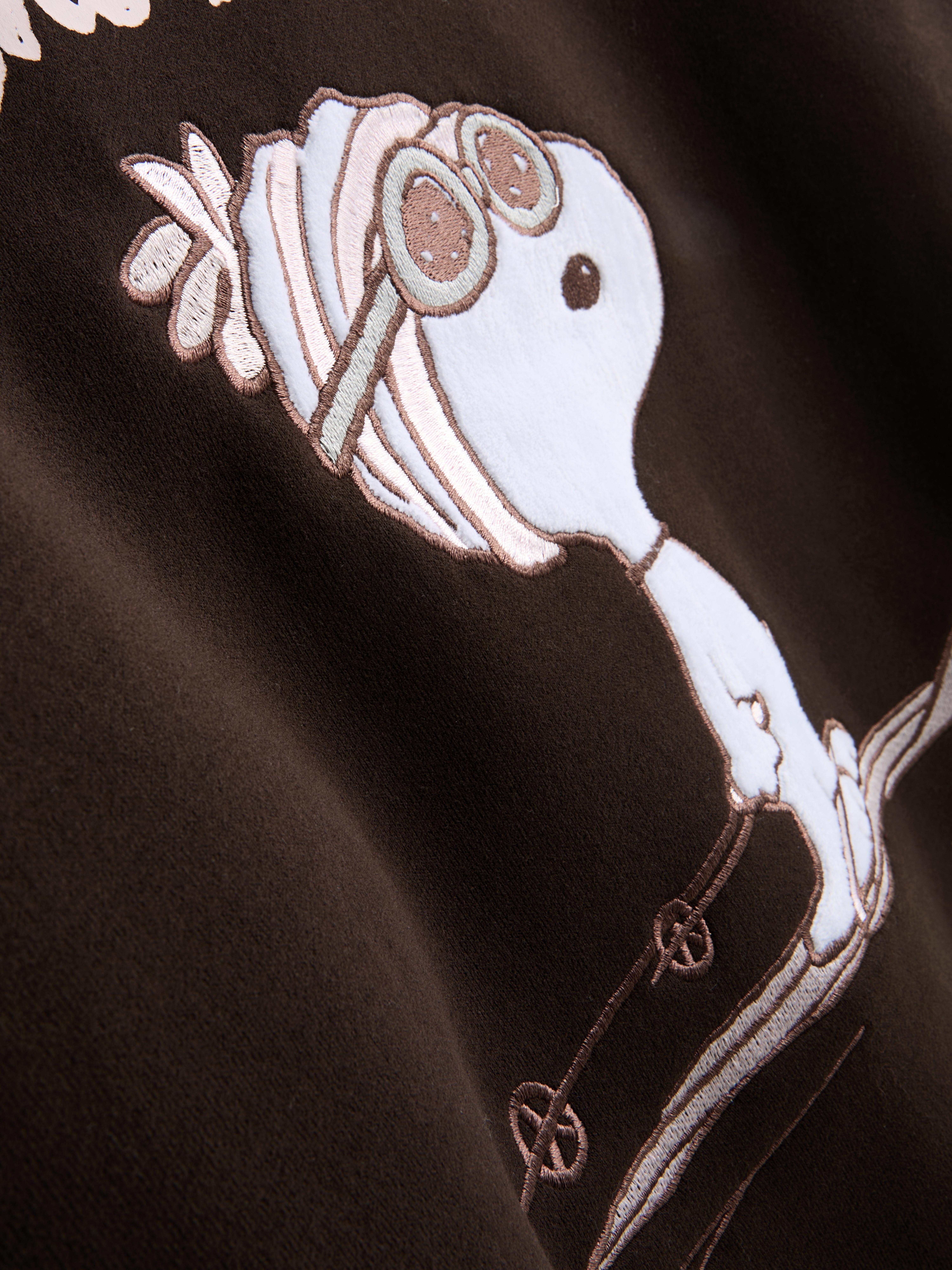 Peanuts Snoopy Graphic Sweatshirt