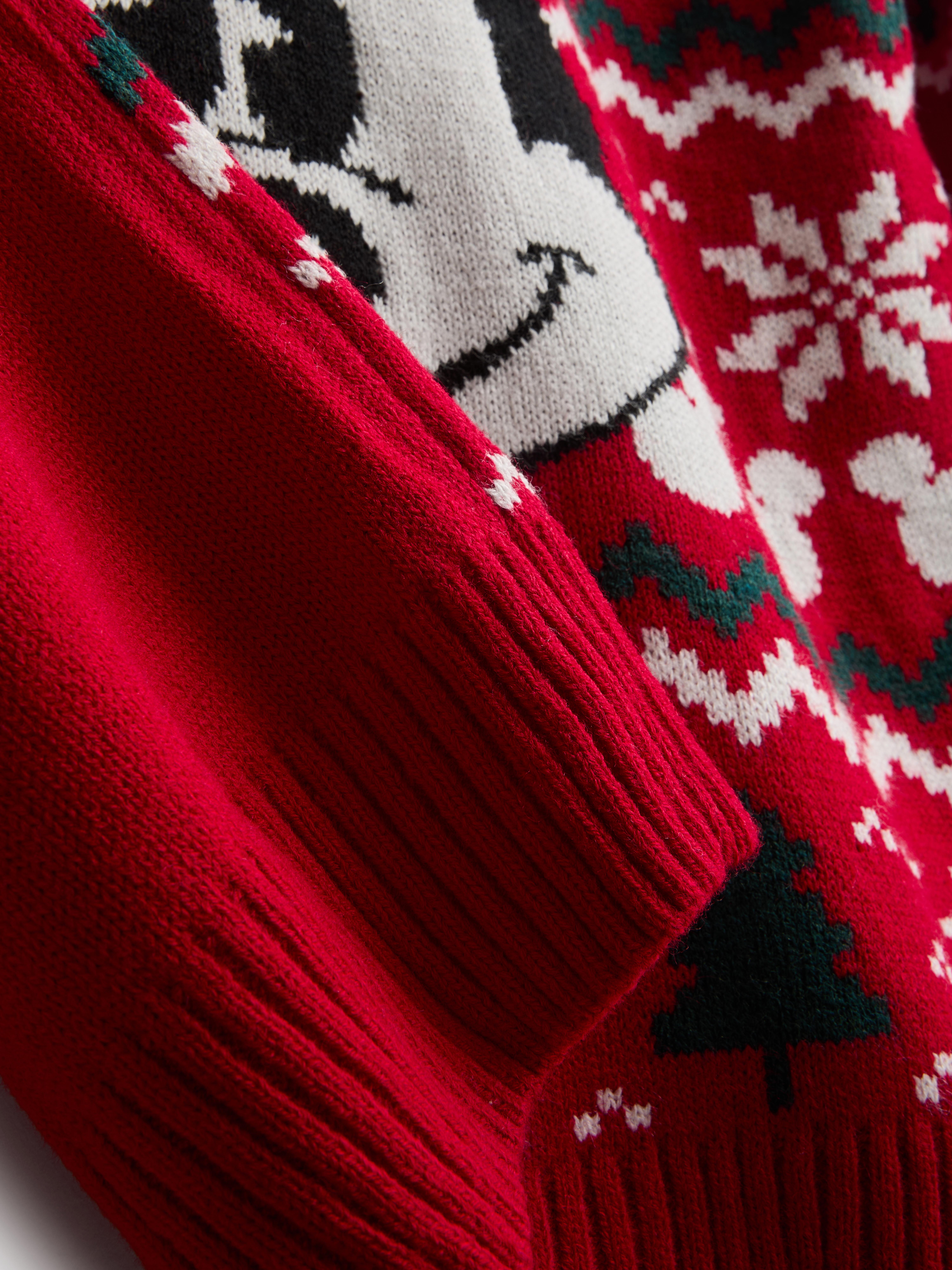 Men's Disney's Mickey Mouse Fair Isle Family Christmas Sweater