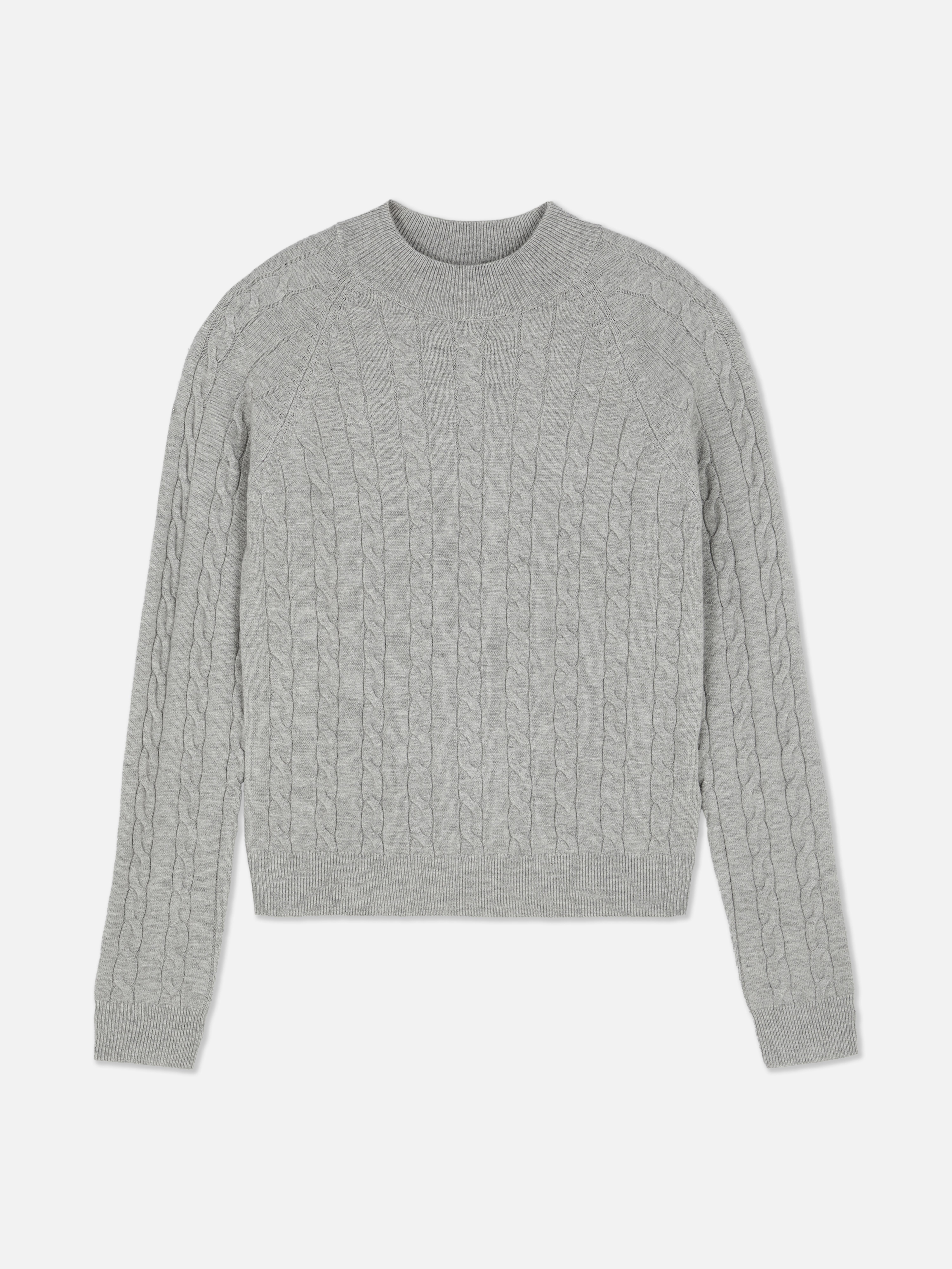 Turtle Neck Cable Sweater