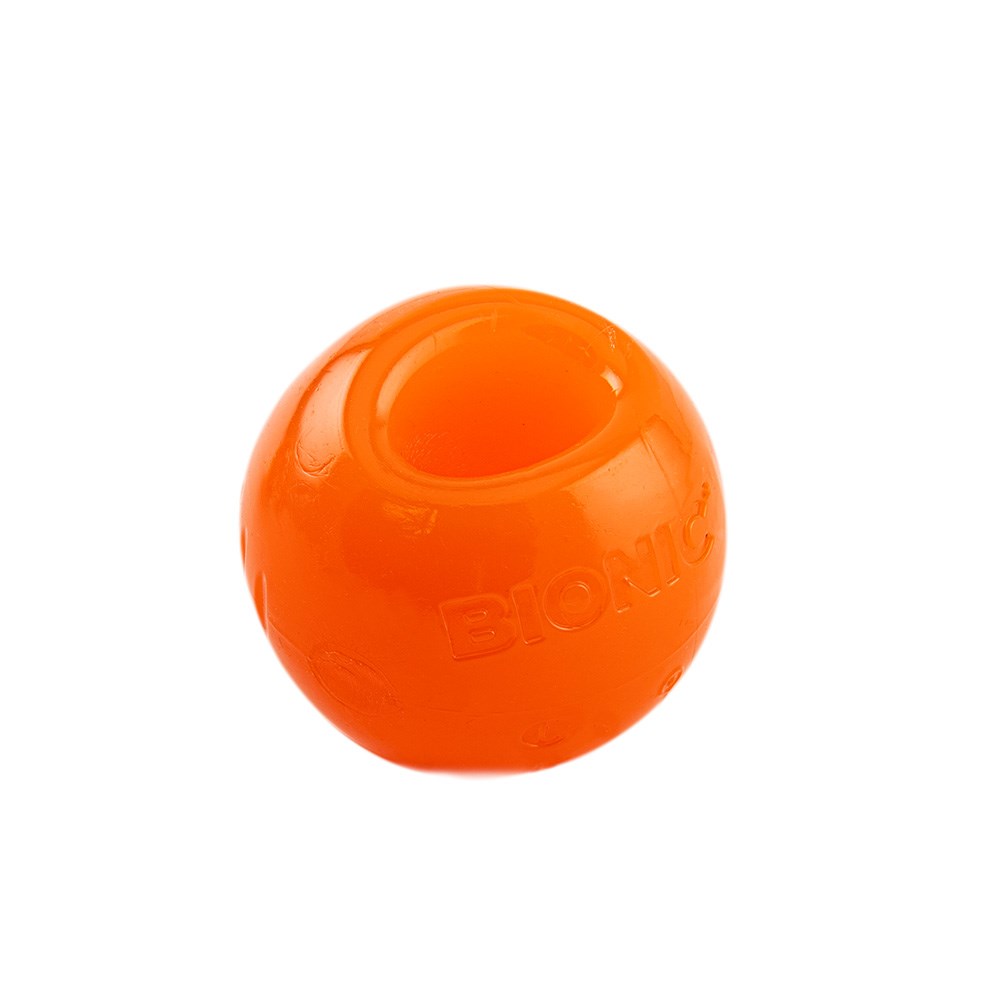 BIONIC Ball Dog Toy