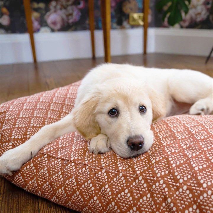 Green Elk Mattress Pet Bed