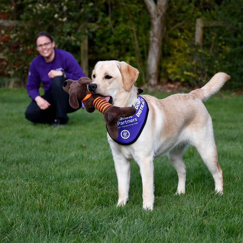 Pets Corner Leaping Petey Charity Dog Toy