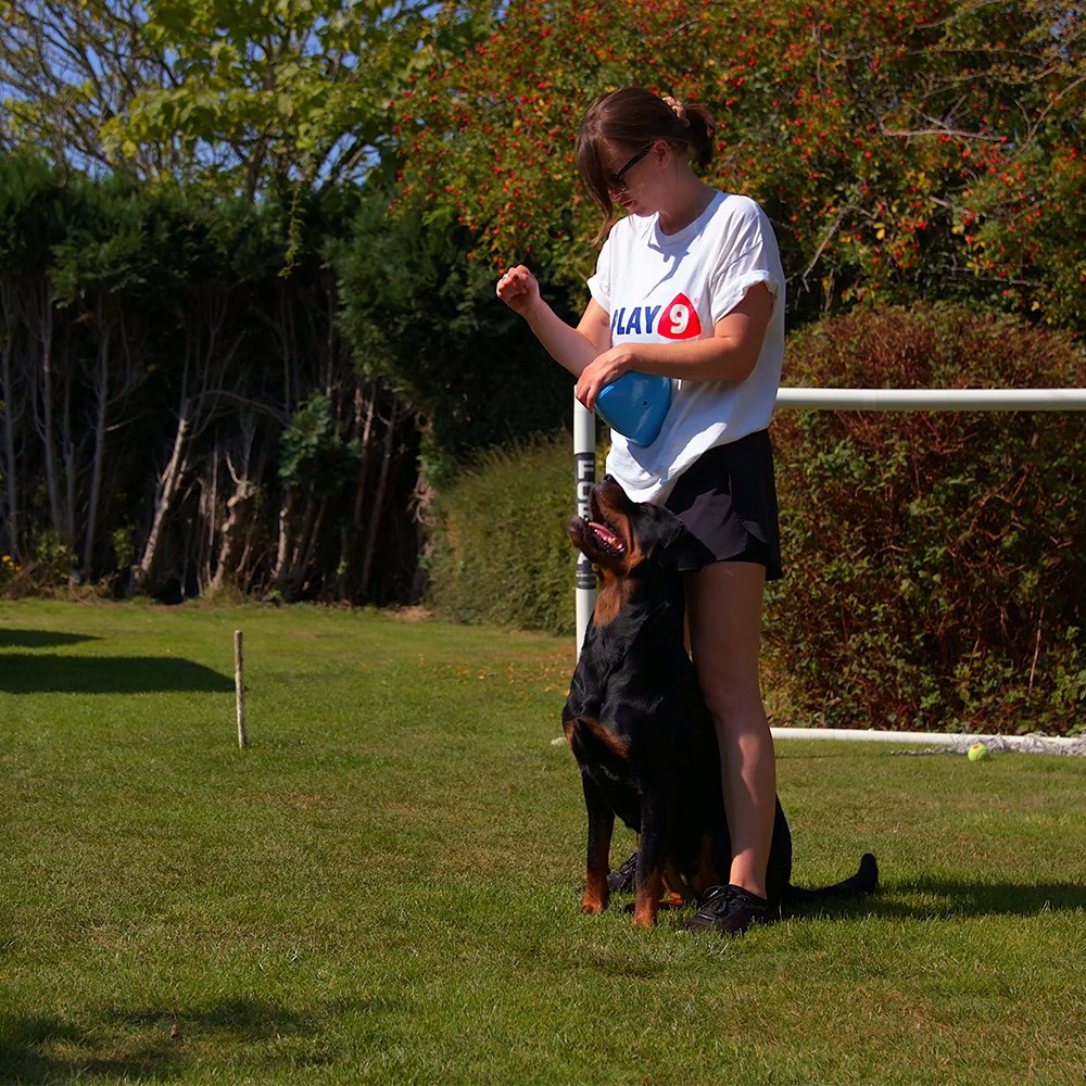 Roolo Treat Dispensing Dog Toy