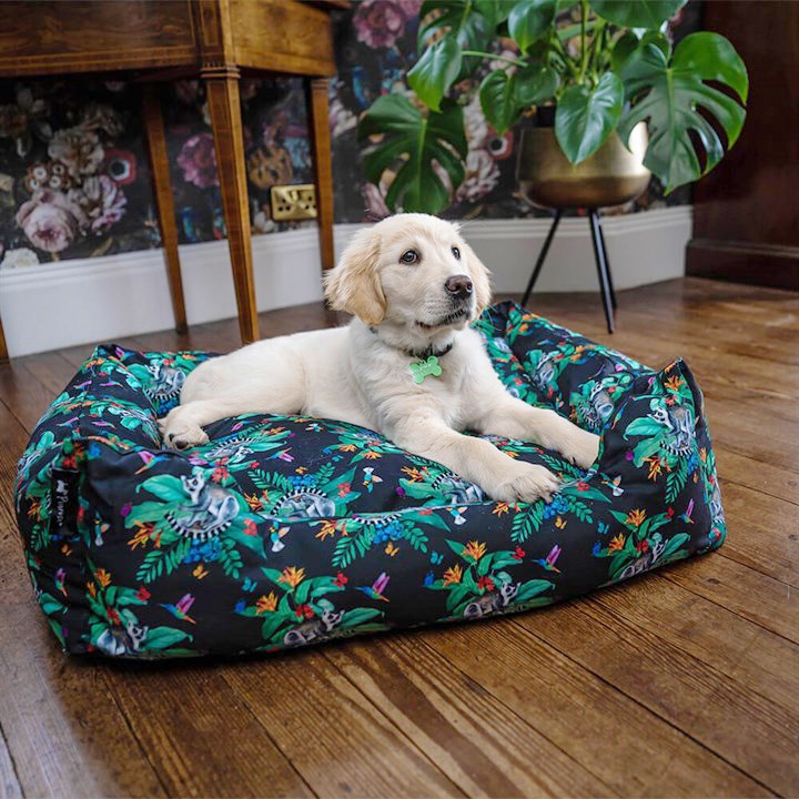 Great & Small Penrose Jungle Print Slumber Dog Bed
