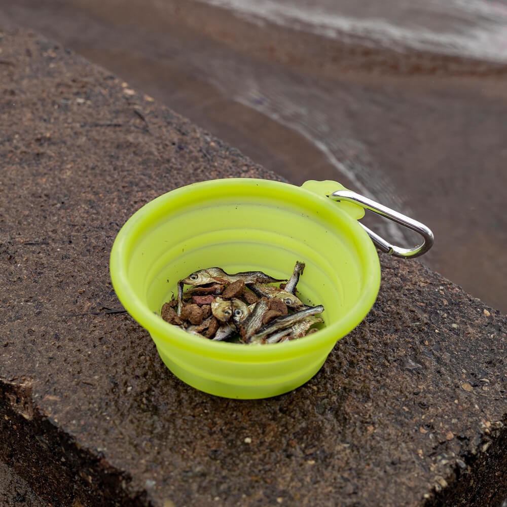 Great & Small Active Travel Pet Bowl 370ml