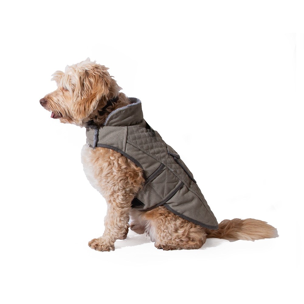 Great & Small Country Grey Canvas Coat