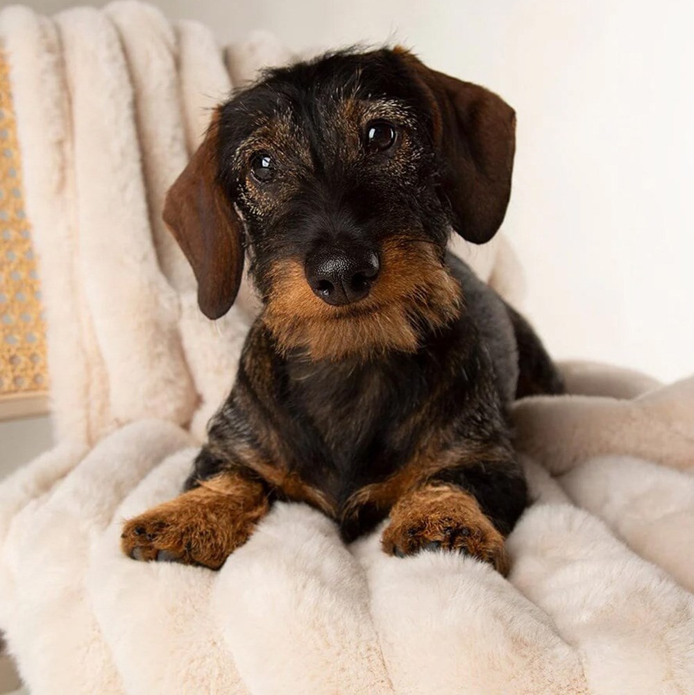 Scruffs Aspen Cream Blanket