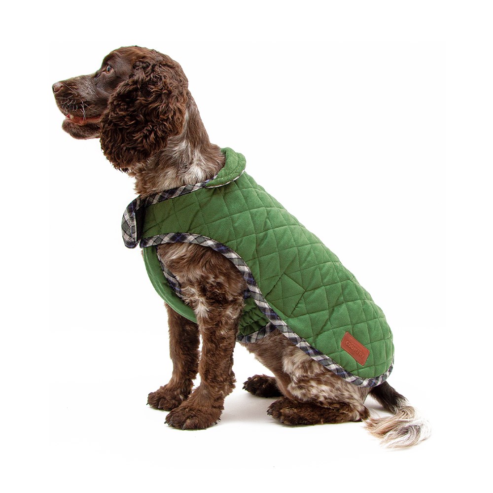 Great & Small Country Quilted Dog Coat Plaid/Green