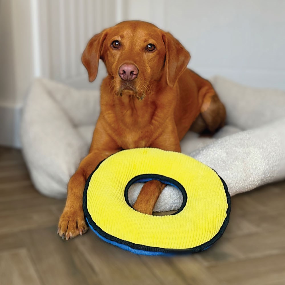 Great & Small Fortress O-Ring Extra Large Dog Toy