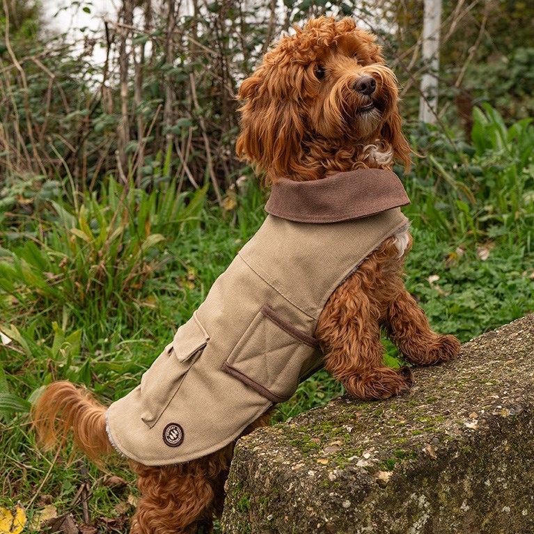Great & Small Country Brown Canvas Coat